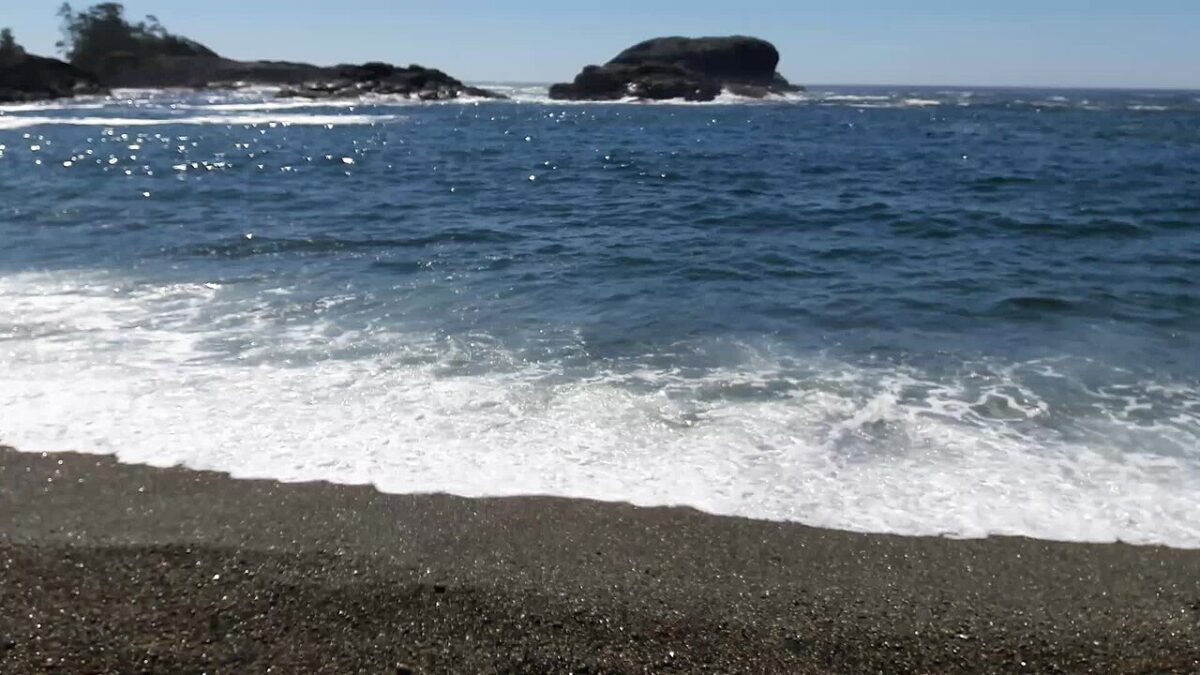 chaussures aquatiques plage
