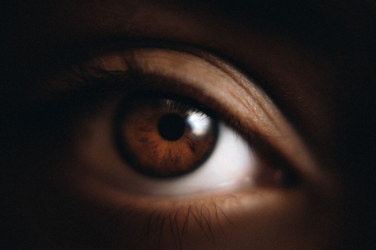 yeux noisette marron